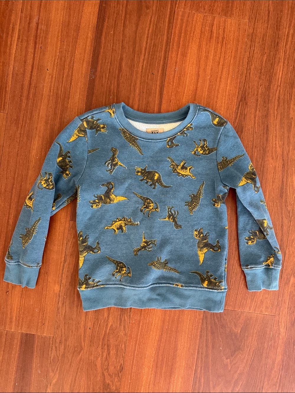 Kids Blue Dinosaur Print Sweatshirt - Size 5